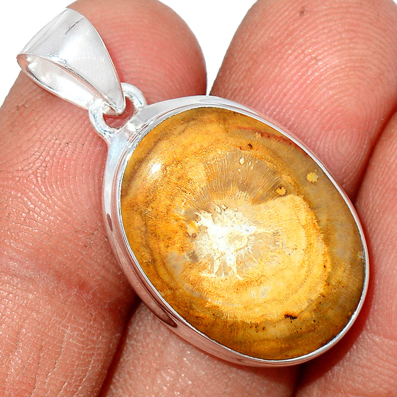 1.3" Petrified Wood Cabochon Pendants - PWCP78