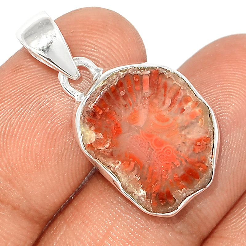 1.2" Red Horn Coral Slice Pendants - RHSP95