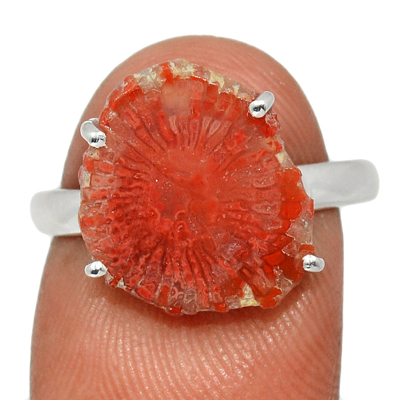 Claw - Red Horn Coral Slice Ring - RHSR10
