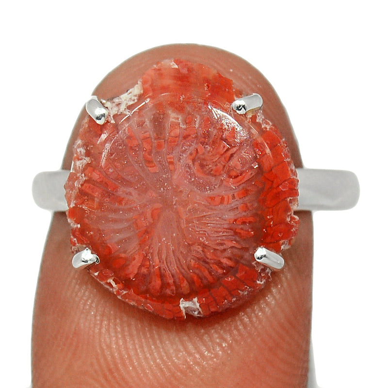 Claw - Red Horn Coral Slice Ring - RHSR11