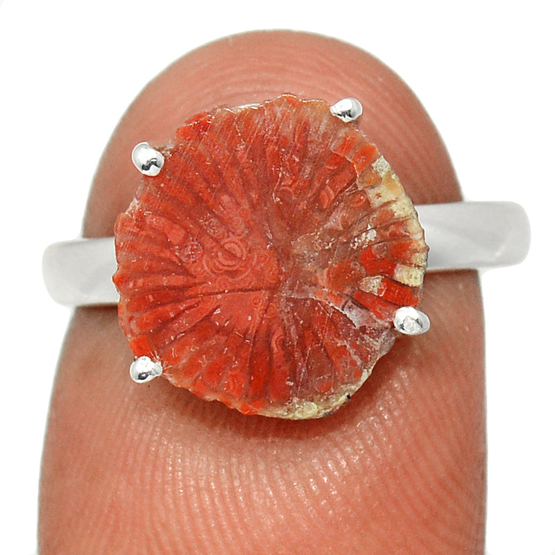 Claw - Red Horn Coral Slice Ring - RHSR17