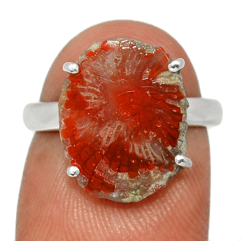 Claw - Red Horn Coral Slice Ring - RHSR3