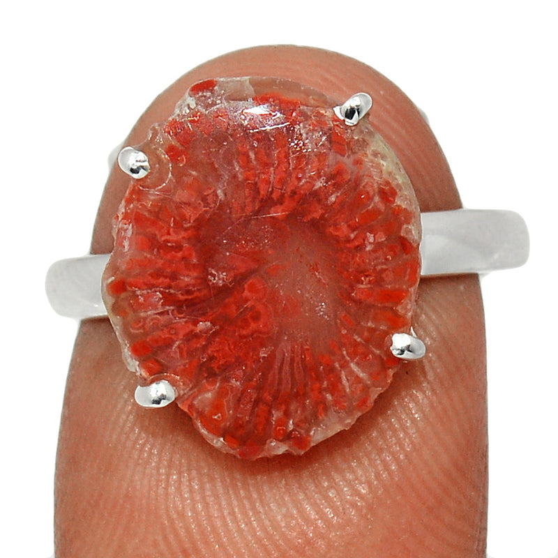 Claw - Red Horn Coral Slice Ring - RHSR4