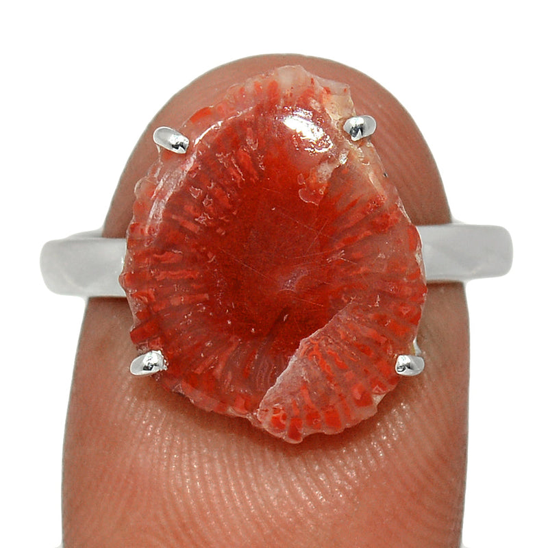 Claw - Red Horn Coral Slice Ring - RHSR5