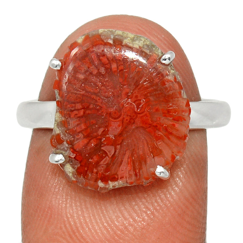 Claw - Red Horn Coral Slice Ring - RHSR7