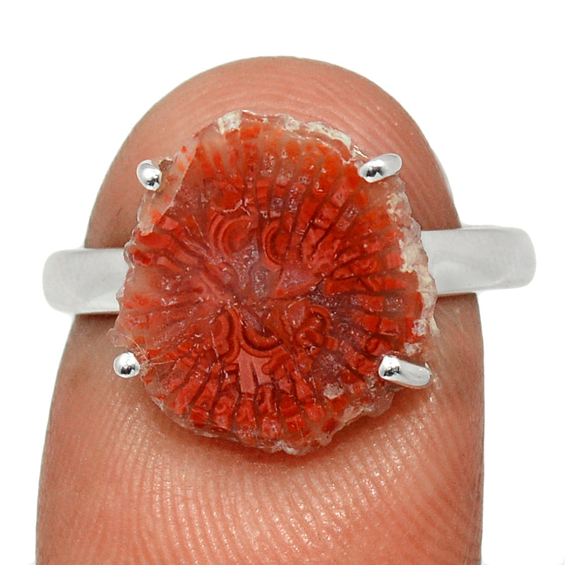 Claw - Red Horn Coral Slice Ring - RHSR8