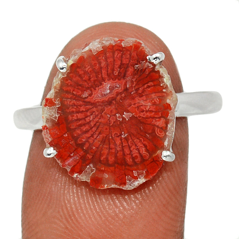 Claw - Red Horn Coral Slice Ring - RHSR9
