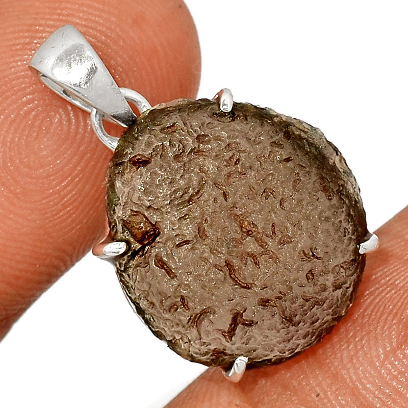 1.1" Claw - Saffordite Tektite Pendants - SDTP71