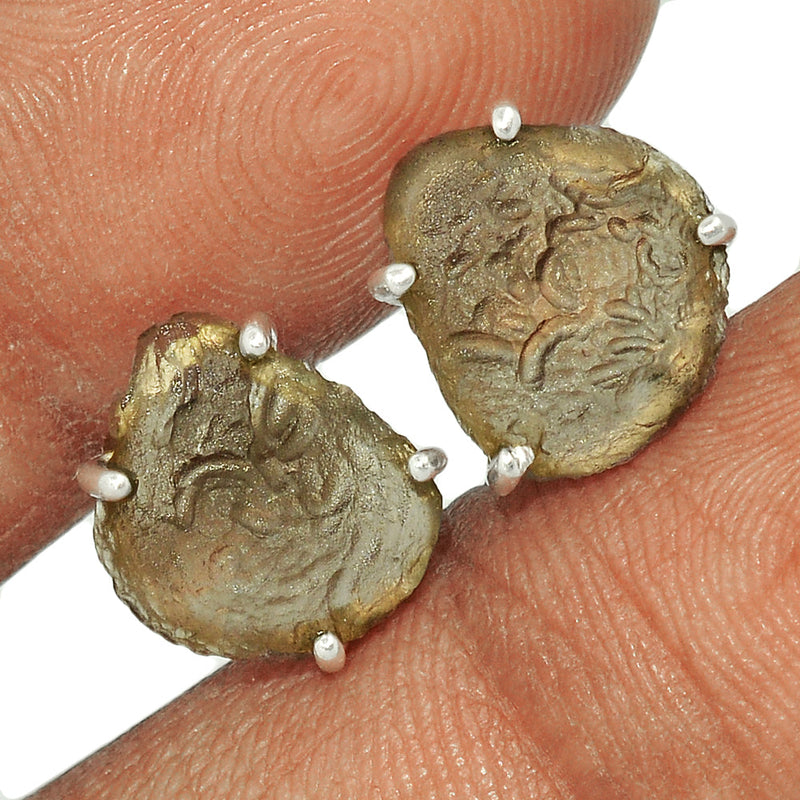 Claw - Saffordite Tektite Studs - SDTS93