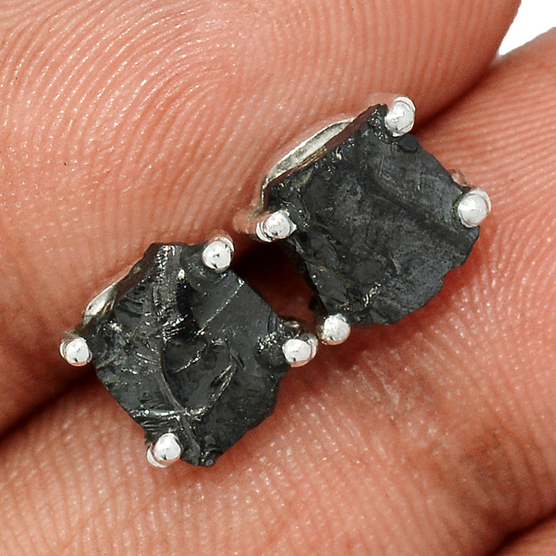 Claw - Shungite Studs - SNGS152