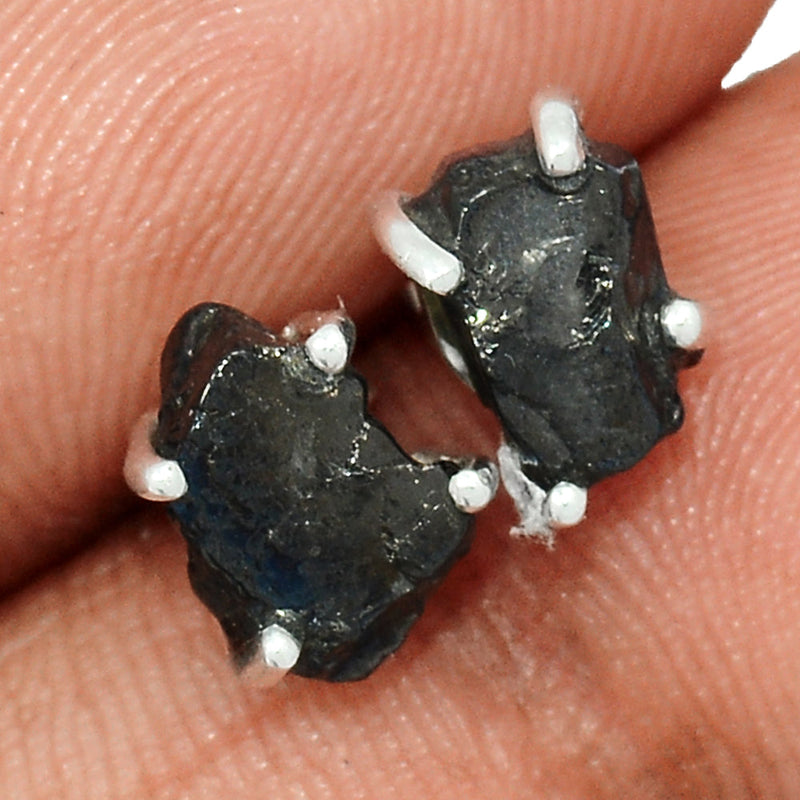 Claw - Shungite Studs - SNGS162