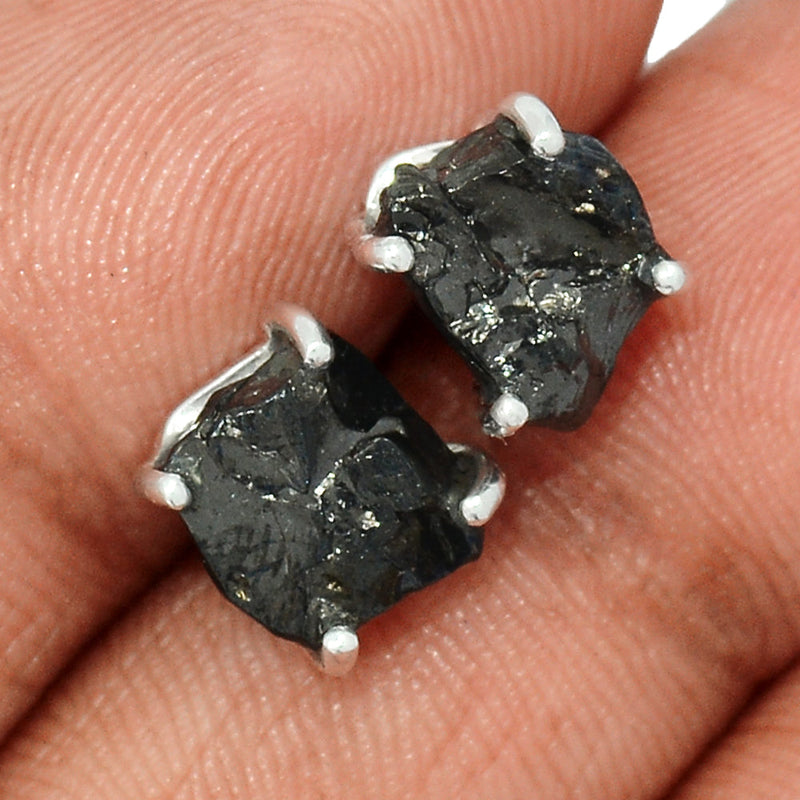 Claw - Shungite Studs - SNGS169