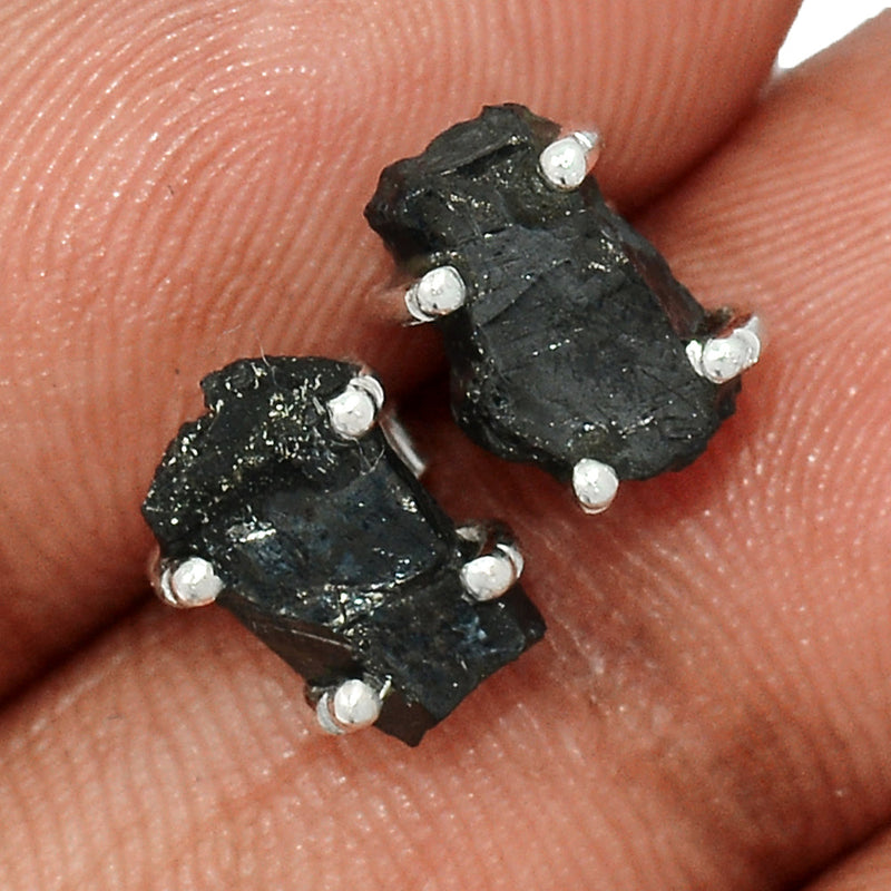 Claw - Shungite Studs - SNGS62