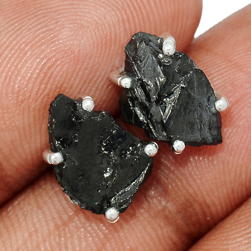 Claw - Shungite Studs - SNGS81