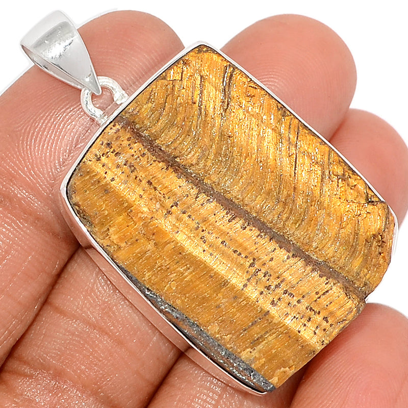 1.8" Tiger Eye Rough Pendants - TERP54