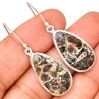 Turtella Jasper Earring-TTJE148