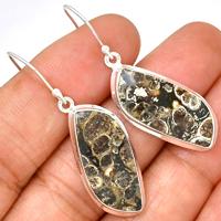 Turtella Jasper Earring-TTJE161