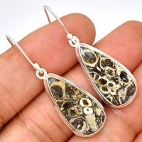 Turtella Jasper Earring-TTJE178