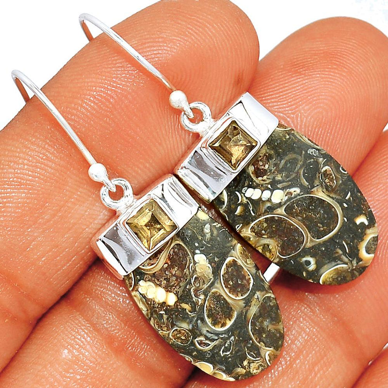 1.6" Turtella Jasper Earrings - TTJE204