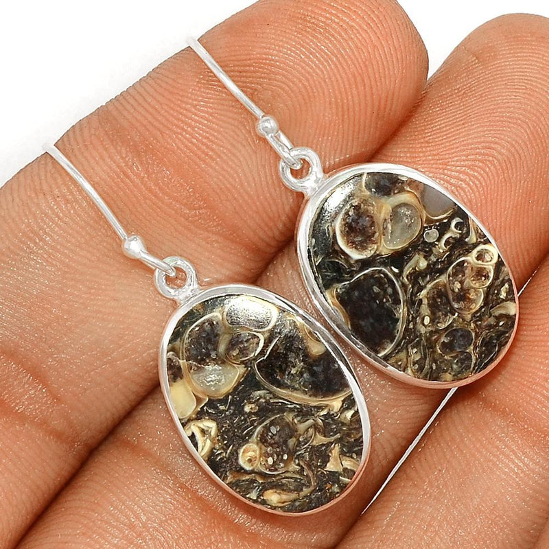 1.5" Turtella Jasper Earrings - TTJE223