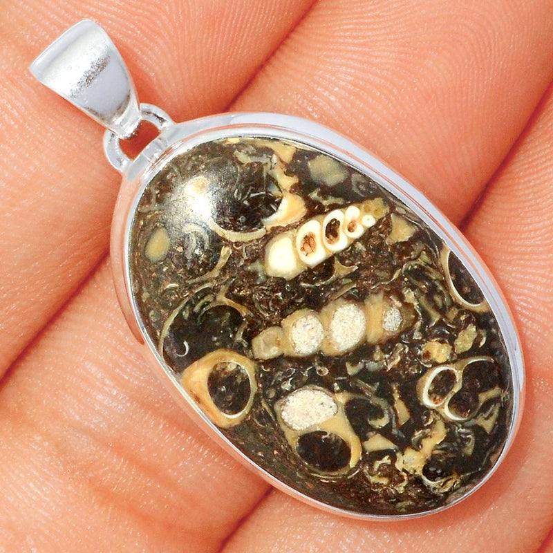 1.5" Turtella Jasper Pendants - TTJP573