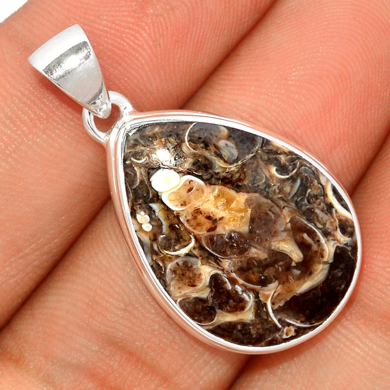 1.5" Turtella Jasper Pendants - TTJP682