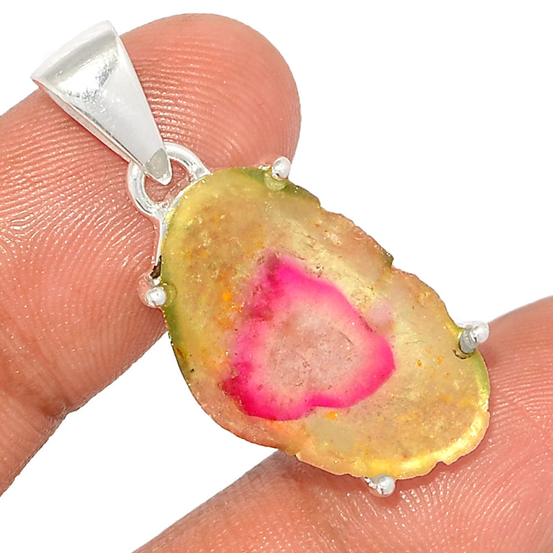 1.5" Claw - Watermelon Tourmaline Slice Pendants - WTSP386