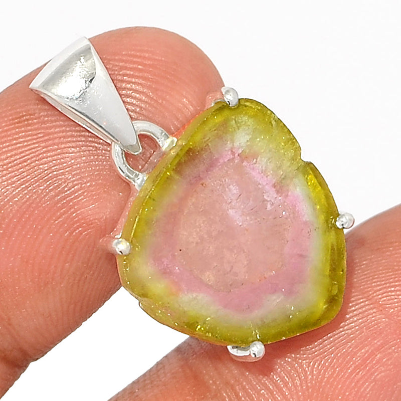 1.1" Claw - Watermelon Tourmaline Slice Pendants - WTSP391