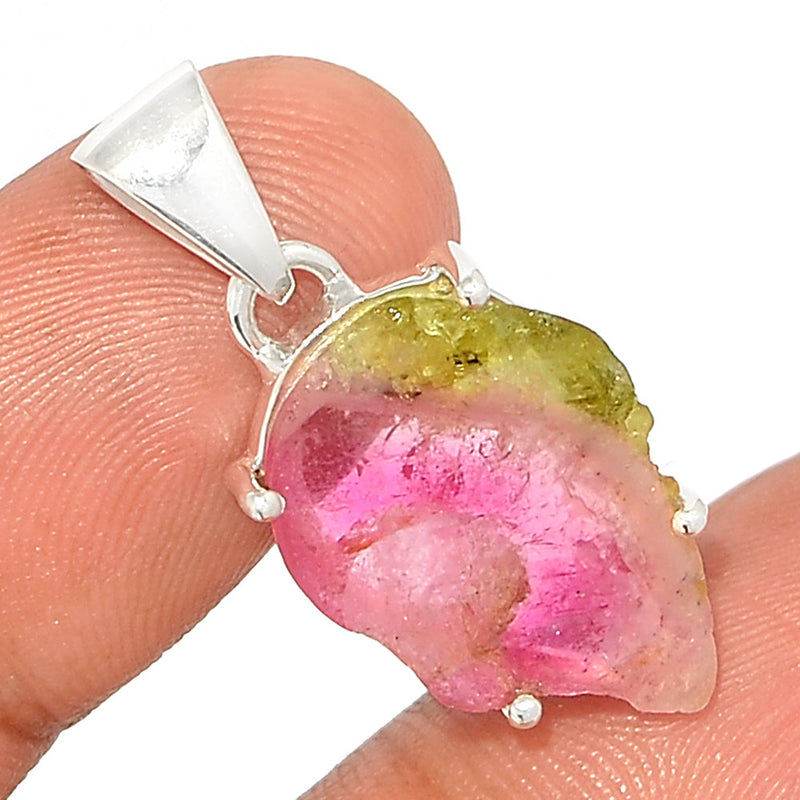 1.2" Claw - Watermelon Tourmaline Slice Pendants - WTSP438