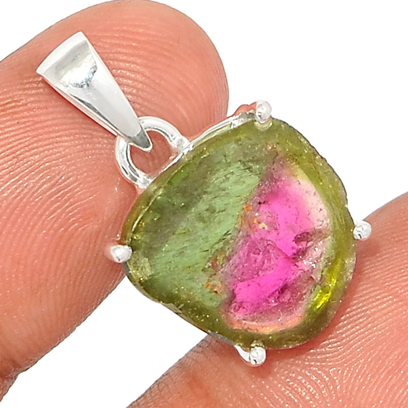 1" Claw - Watermelon Tourmaline Slice Pendants - WTSP439