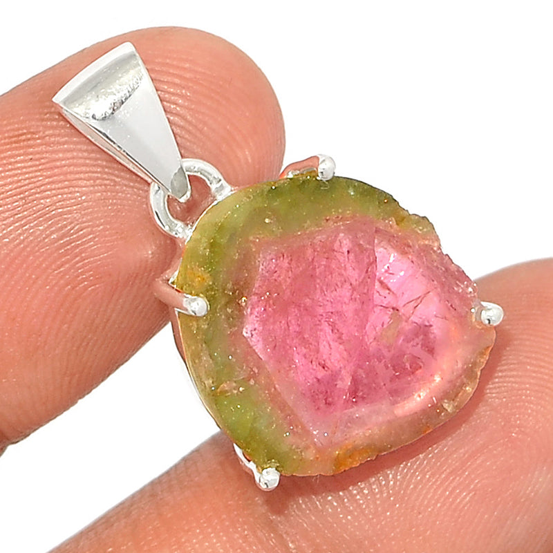 1.1" Claw - Watermelon Tourmaline Slice Pendants - WTSP440