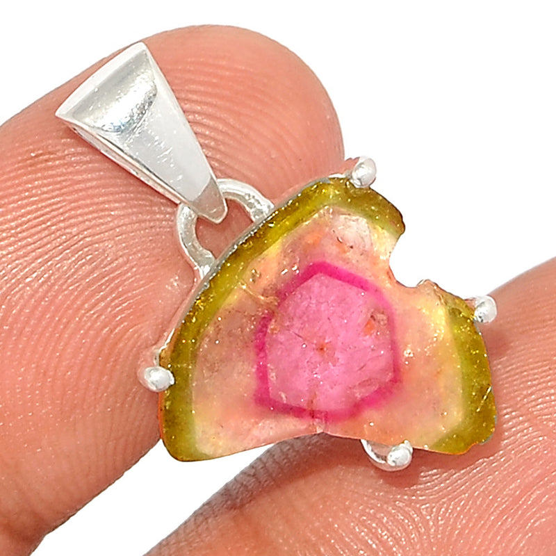 1" Claw - Watermelon Tourmaline Slice Pendants - WTSP455