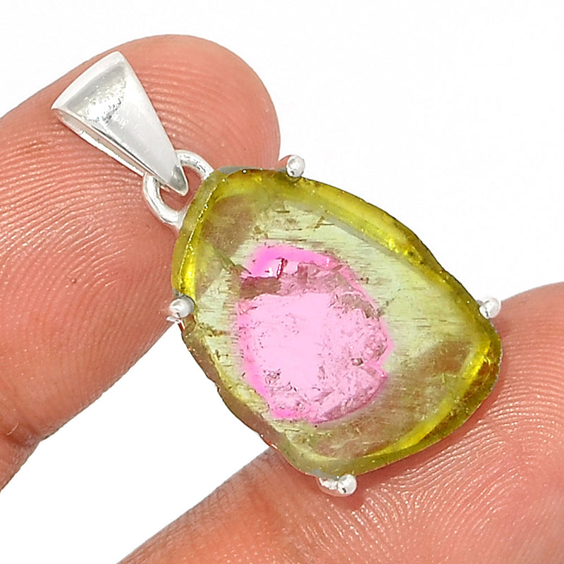 1.2" Claw - Watermelon Tourmaline Slice Pendants - WTSP460