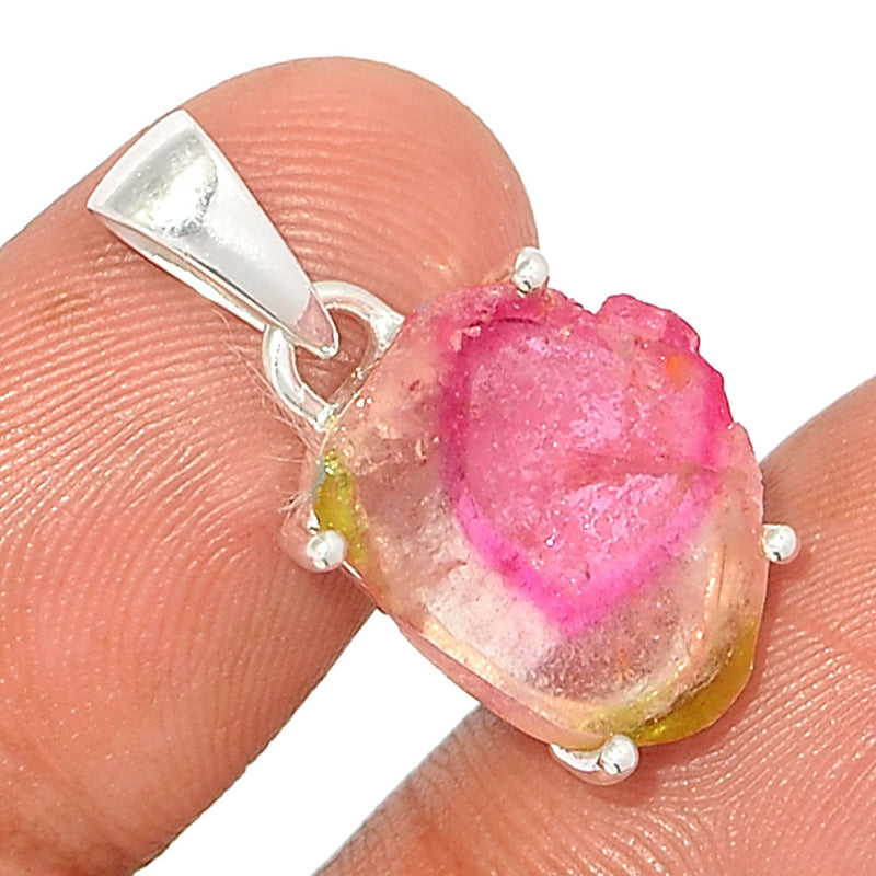 1" Claw - Watermelon Tourmaline Slice Pendants - WTSP473