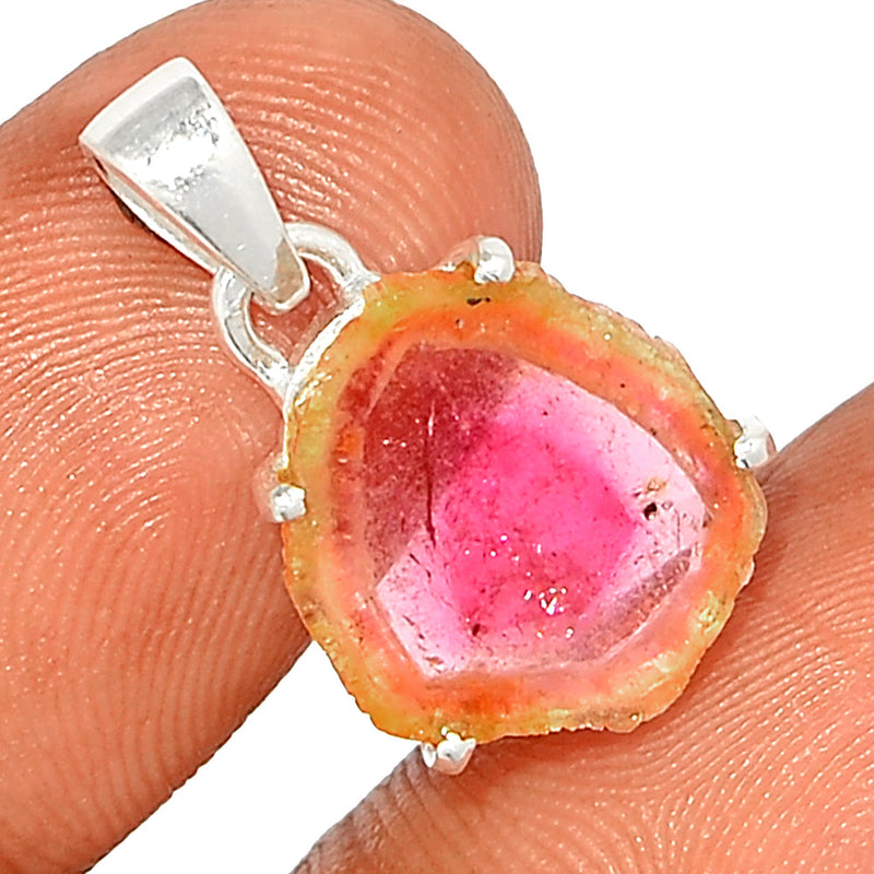 0.8" Claw - Watermelon Tourmaline Slice Pendants - WTSP495