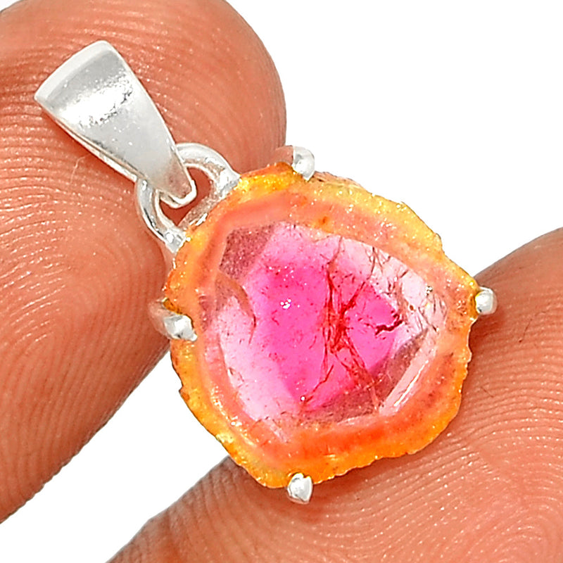 0.8" Claw - Watermelon Tourmaline Slice Pendants - WTSP496