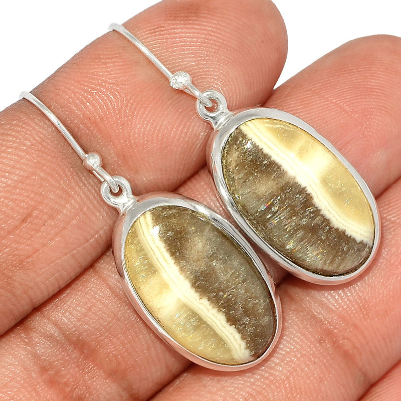1.5" Zebra Jasper Earrings - ZBJE68